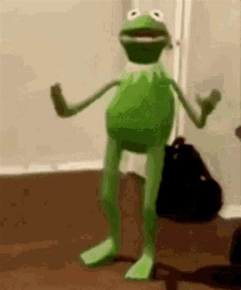 gif kermit|kermit gif meme.